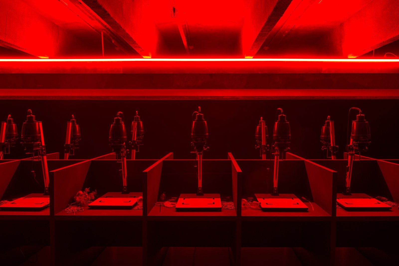 «Арт-эксперимент. Чудо света» в Музее современного искусства «Гараж». Москва, 2019Фото: Алексей Народицкий© Музей современного искусства «Гараж»