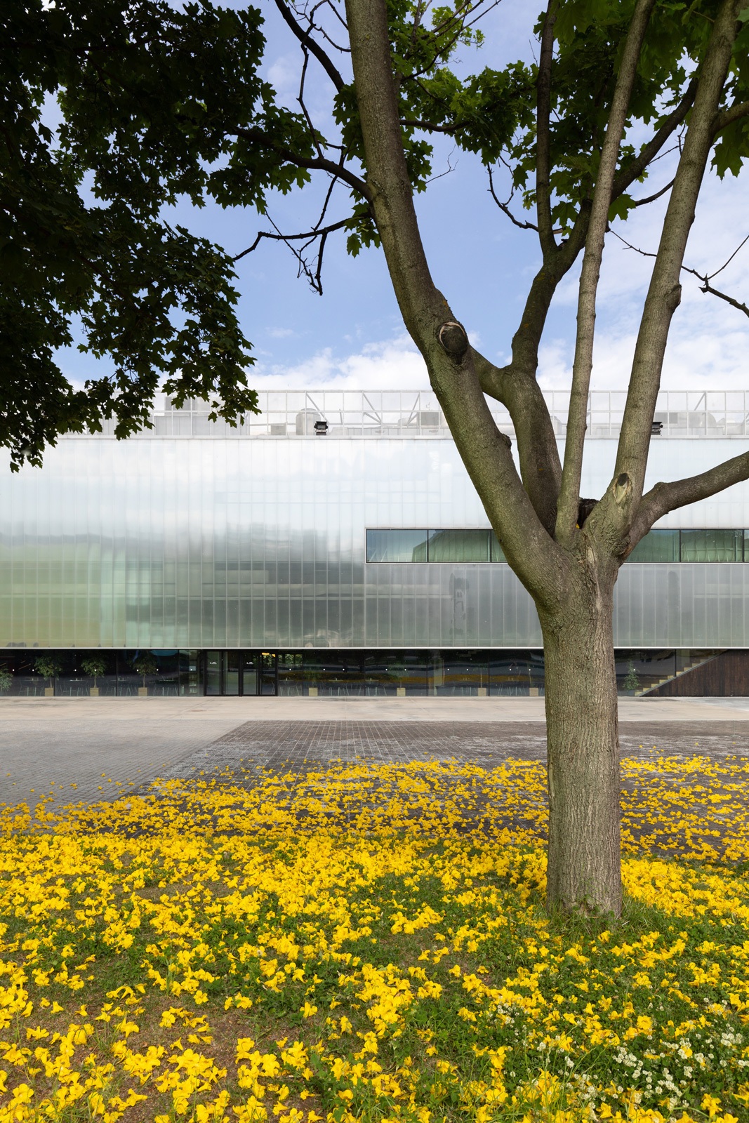 Allora & Calzadilla, Graft, 2019Installation view, Garage Square, Garage Museum of Contemporary Art, MoscowPhoto: Ivan Erofeev© Garage Museum of Contemporary Art