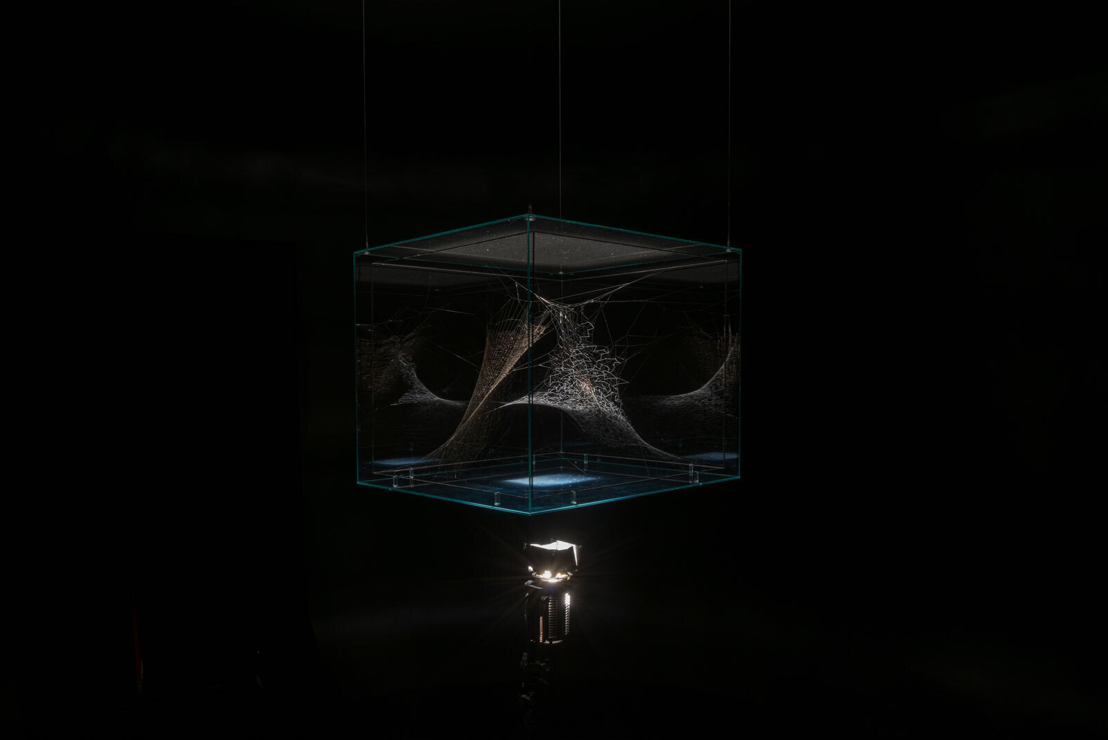 Выставка &laquo;Грядущий мир: экология как новая политика. 2030&ndash;2100&raquo; в Музее современного искусства &laquo;Гараж&raquo;. Москва, 2019Фото: Алексей Народицкий&copy; Музей современного искусства &laquo;Гараж&raquo;