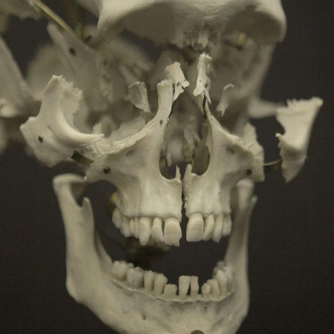 Антон Видокле&nbsp;Фрагменты фильма&nbsp;This Is Cosmos!. 2014&nbsp;Предоставлено автором&nbsp;