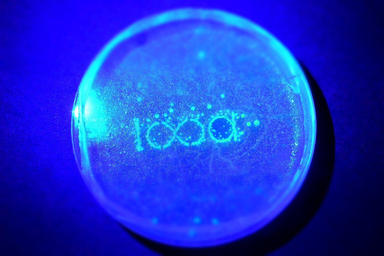 Арт-Группа&laquo;18 apples&raquo;MetabolA.I., 2016-2017Технобиологическая инсталляцияПредоставлено художником