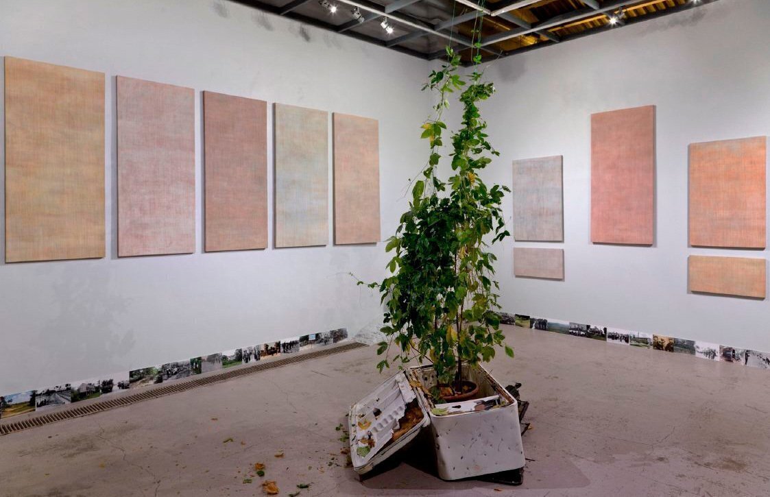 Иван НовиковПеревернутая корзина, 2015.Живопись, фото, найденные объекты, живые растения.Предоставлено художником