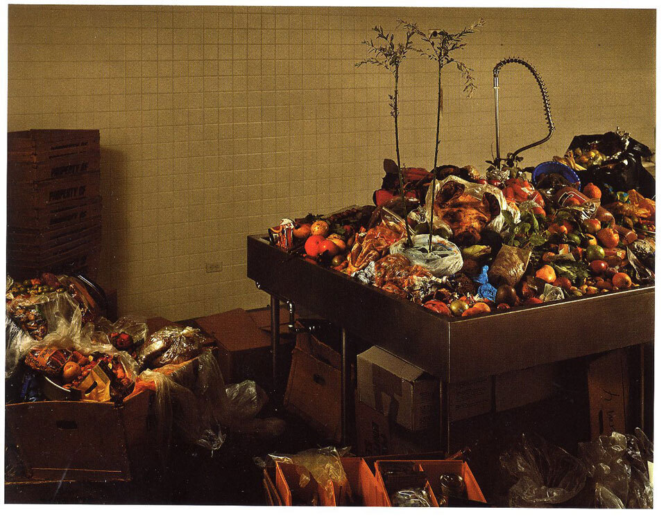 Тарин Саймон. Таможня и пограничная служба США, комната контрабанды, международный аэропорт Джона Ф. Кеннеди, Квинс. 2007. &copy; Tate