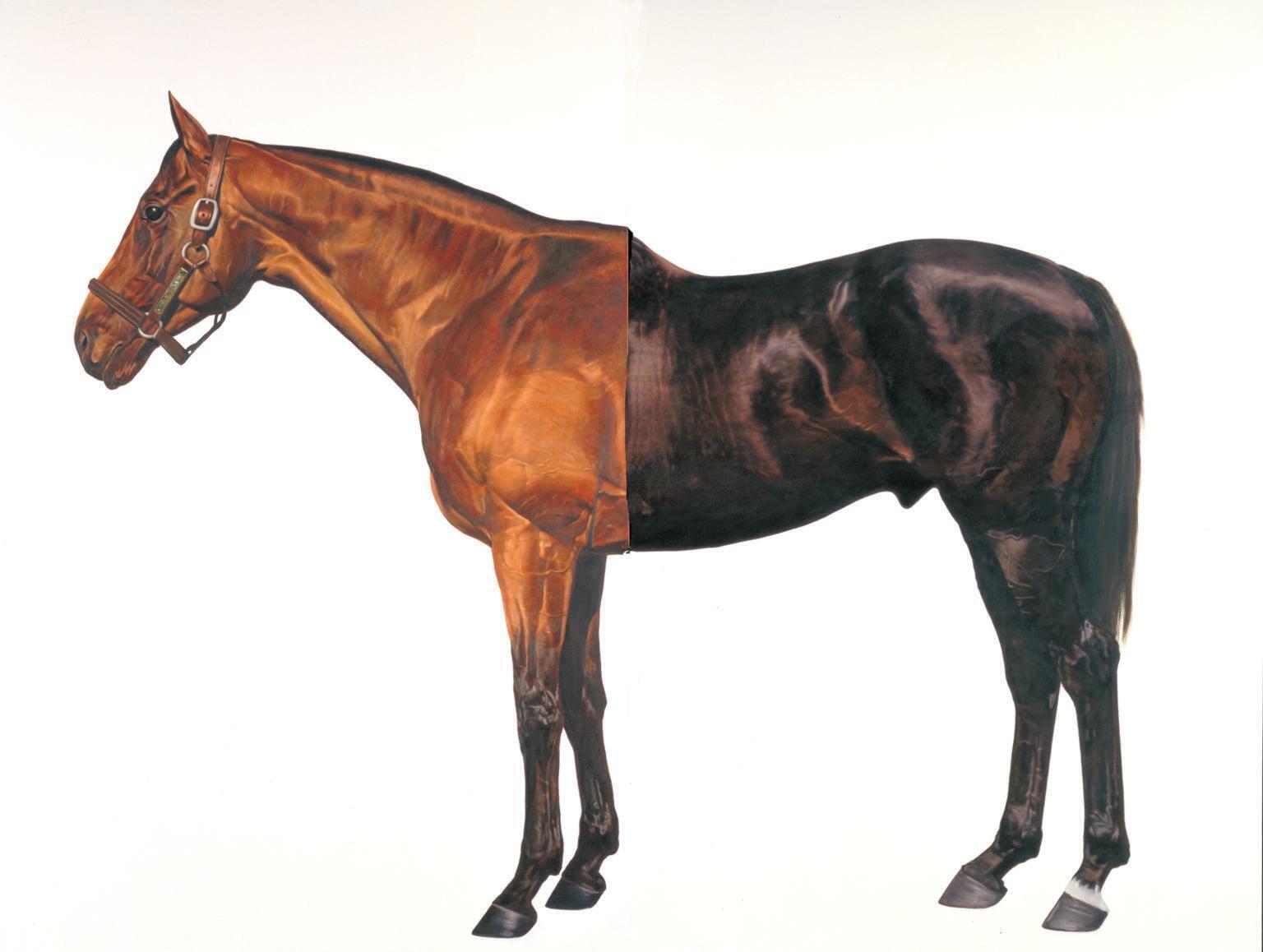 Марк Уоллинджер. Сводный брат (Выход в никуда &mdash; Макиавеллевский). 1994&ndash;1995. &copy; Mark Wallinger