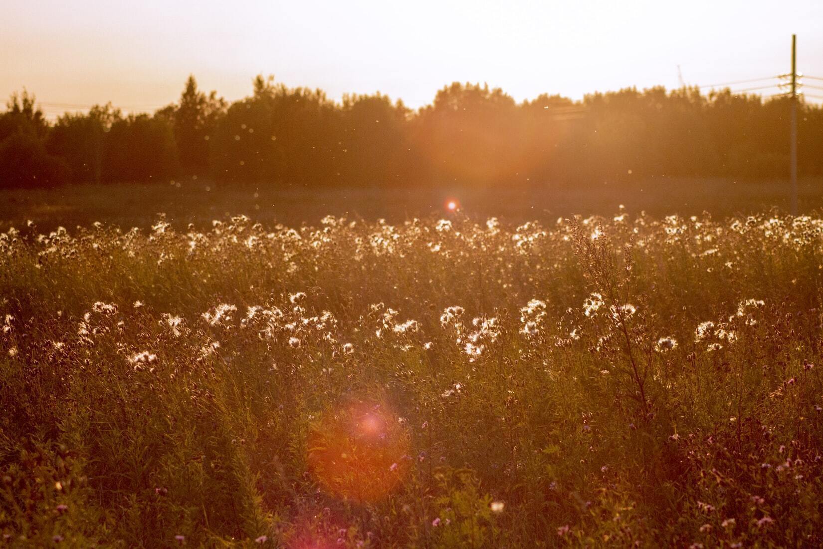 Photo: victorvictorov/Unsplash