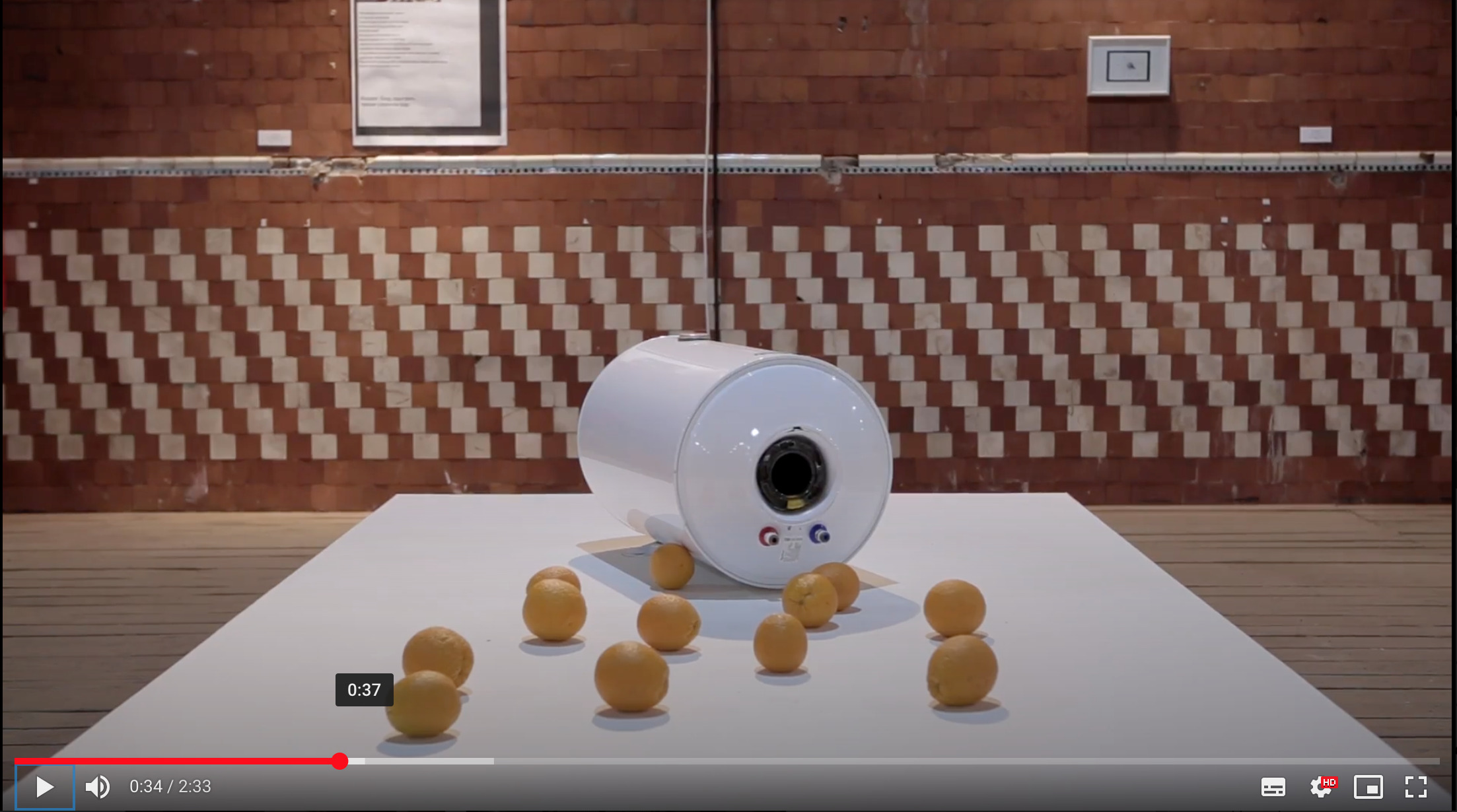 Выставка студентов Института «База» «Беднейший класс: животные» в Центре современного искусства «Винзавод», Москва. 13 июня 2019Кадр из видеодокументацииАрхив Музея современного искусства «Гараж»