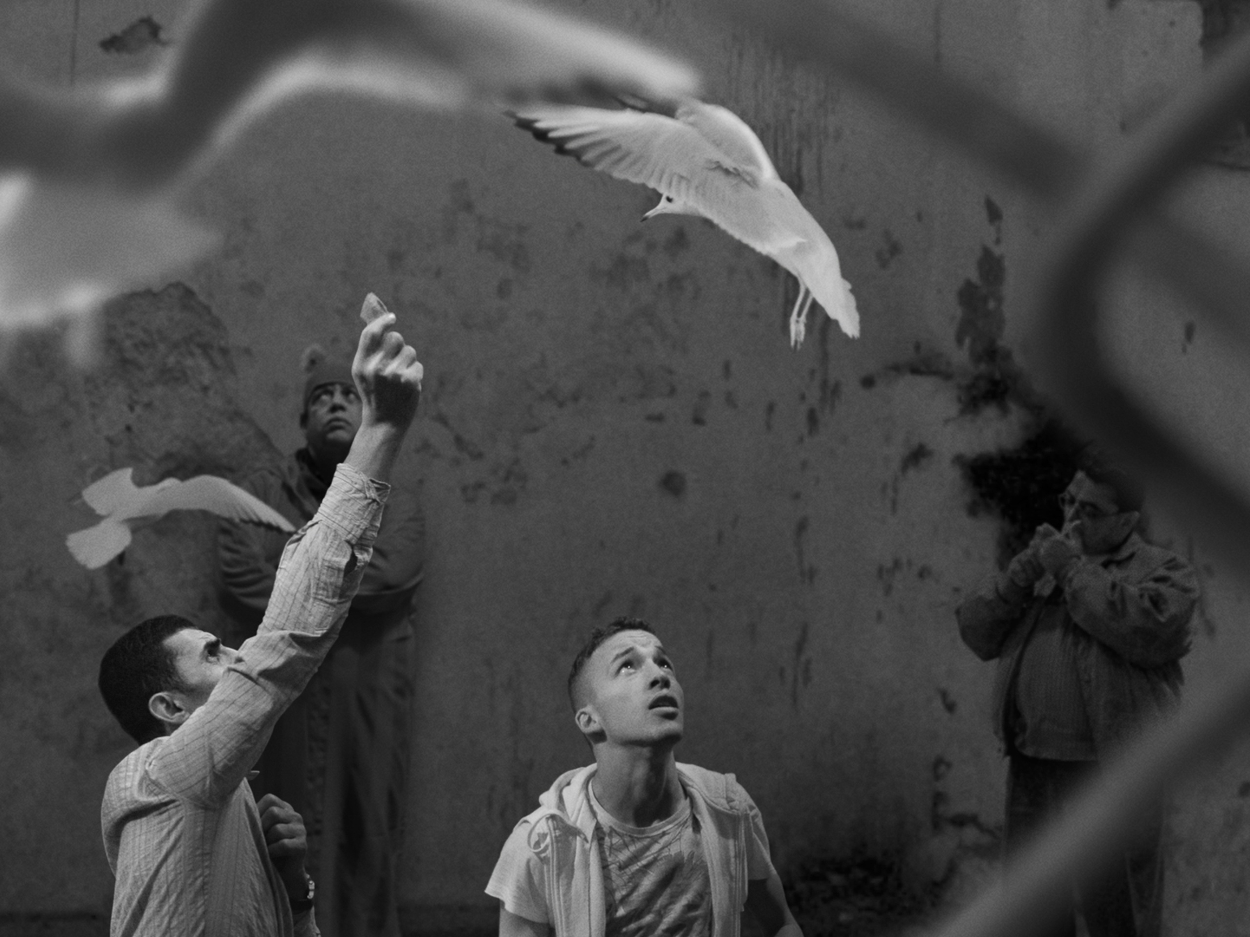 Давид КларбаутФрагменты счастливого мгновения. Алжир. 2008Одноканальная черно-белая видеопроекция, стереозвук. 37 мин.Предоставлено студией Давида Кларбаута&copy; David Claerbout