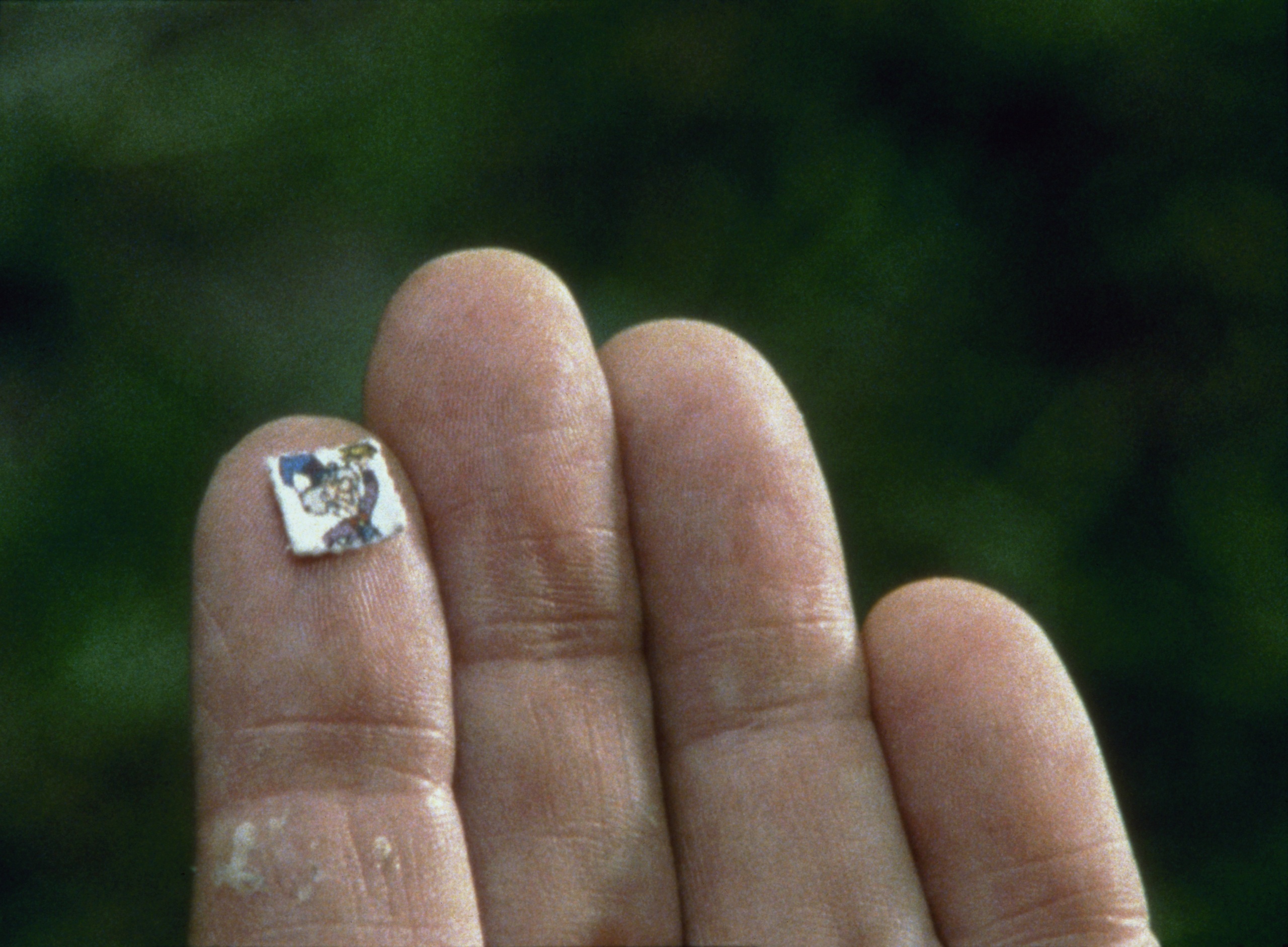 Родни Грэм. Фонокинетоскоп. 2001Фильм на 16-мм пленке (5 мин.), проигрыватель, виниловая пластинкаКоллекция Рингир, Швейцария