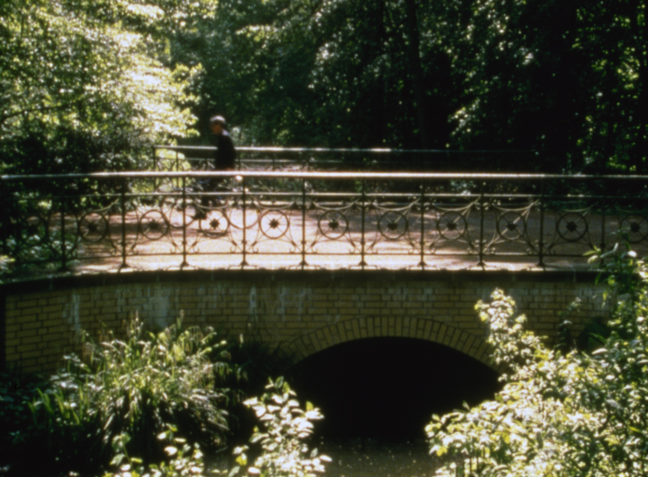 Родни Грэм. Фонокинетоскоп. 2001Фильм на 16-мм пленке (5 мин.), проигрыватель, виниловая пластинкаКоллекция Рингир, Швейцария