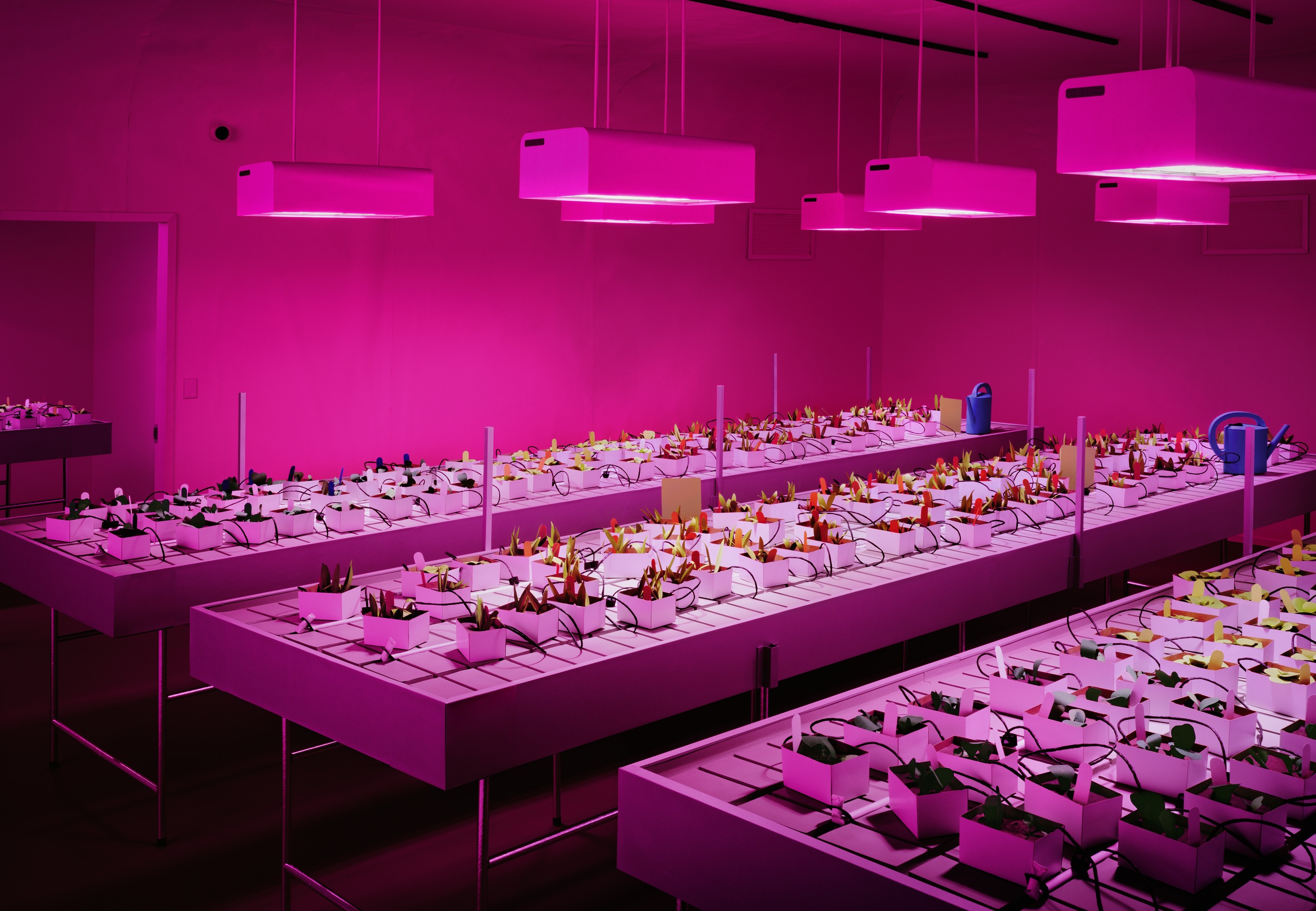 Томас ДемандИнкубатор. 2020Пигментная печать на оргстеклеПредоставлено художником, галереями Matthew Marks (Нью-Йорк и Лос-Анджелес), Esther Schipper (Берлин), Sprüth Magers (Лондон, Берлин и Лос-Анджелес), Taka Ishii (Токио)&copy; Thomas Demand, VG Bild-Kunst, Bonn / УПРАВИС, Москва