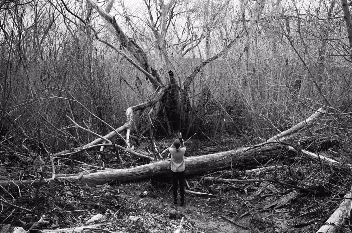 Алексей КурбатовБез названия, 2019Предоставлено командой Фестиваля экспериментального кино MIEFF.