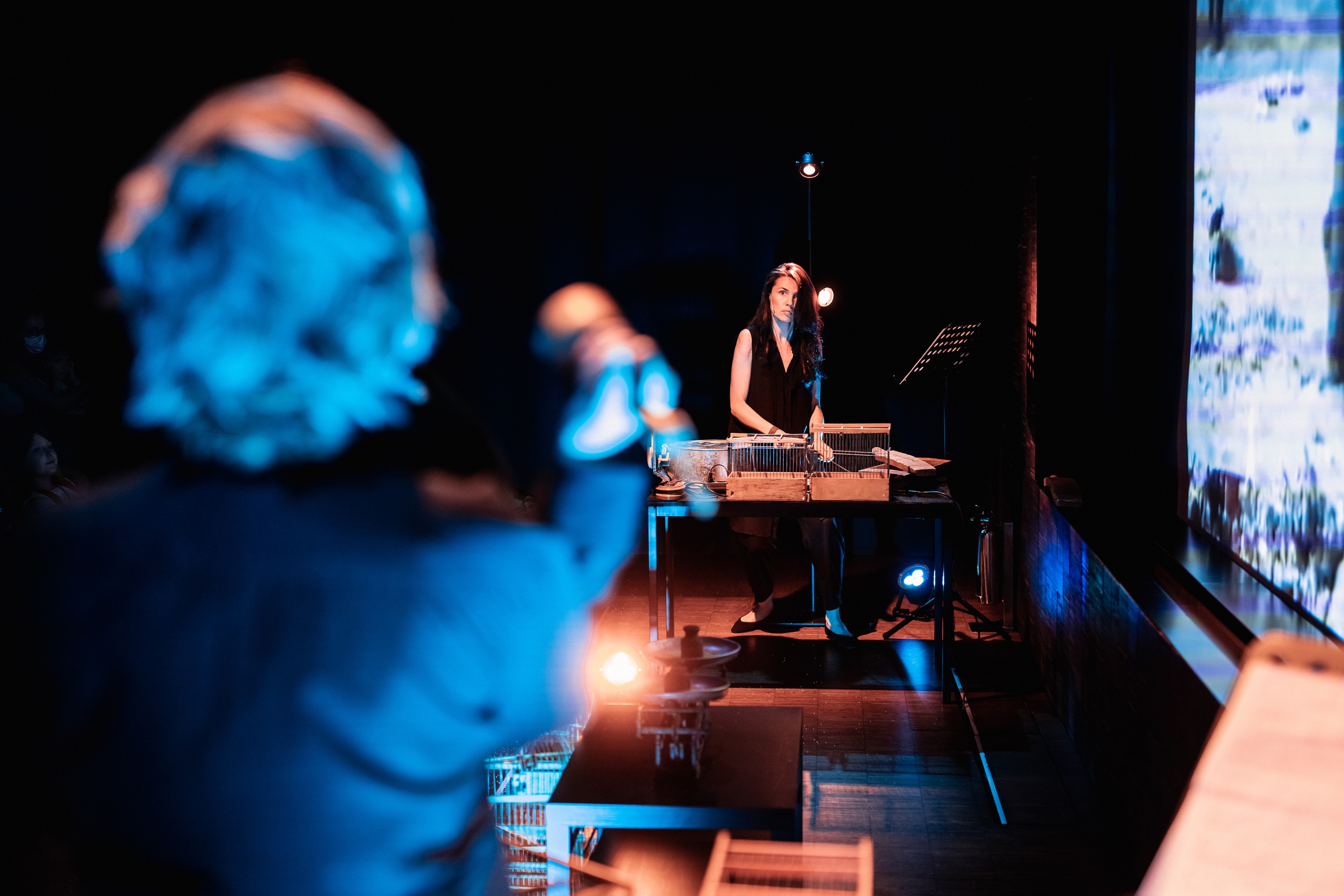 The University of Birds: An Immersive Performance by Theater of Mutual OperationsAnton Donikov&copy; Garage Museum of Contemporary Art