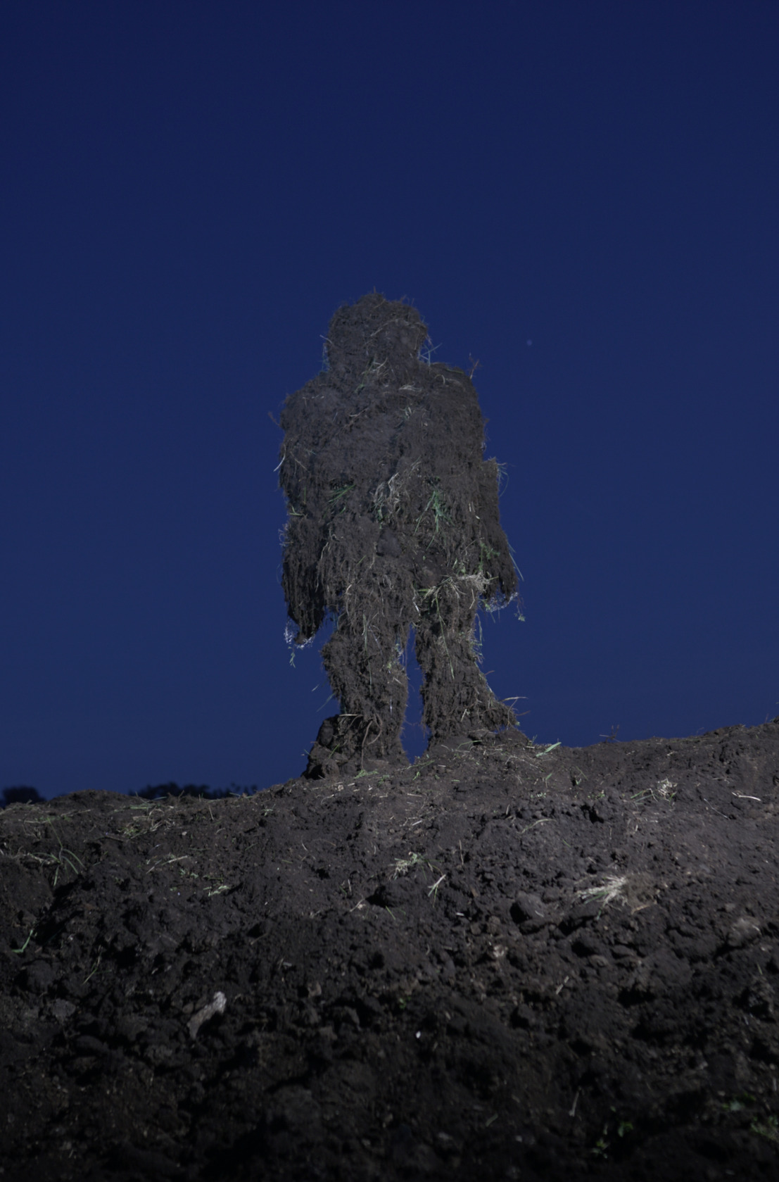 Вера Баркалова. Без названия. 2022. Предоставлено художником