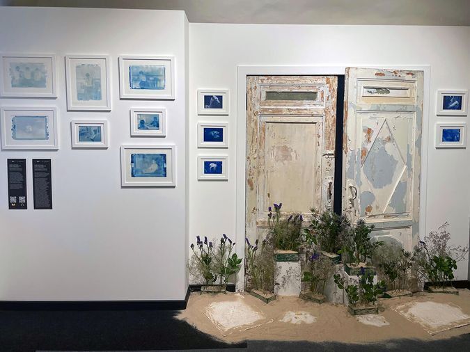 Лена Скрипкина. Искусство быть: запредельно близко. 2022. Инсталляция. Предоставлено художником