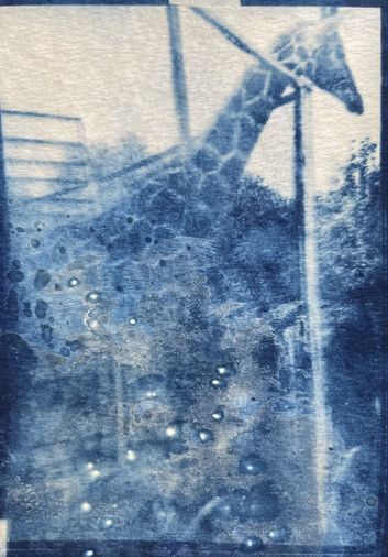 Лена Скрипкина. Слепое поле. 2022. Книга художника. Предоставлено художником