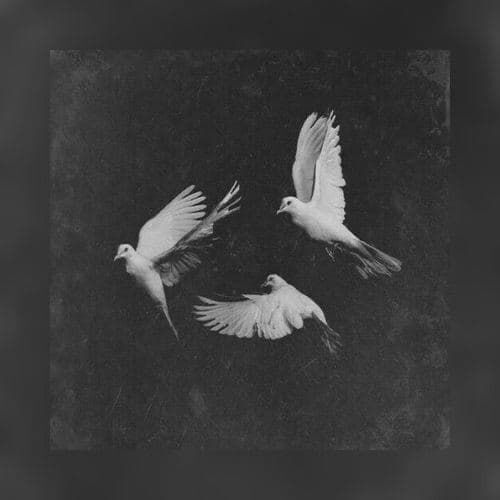 Лена Скрипкина. Квартет на конец времени. 2016. Инсталляция. Предоставлено художником