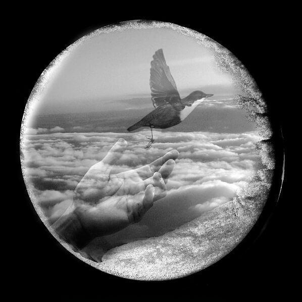 Лена Скрипкина. Квартет на конец времени. 2016. Инсталляция. Предоставлено художником