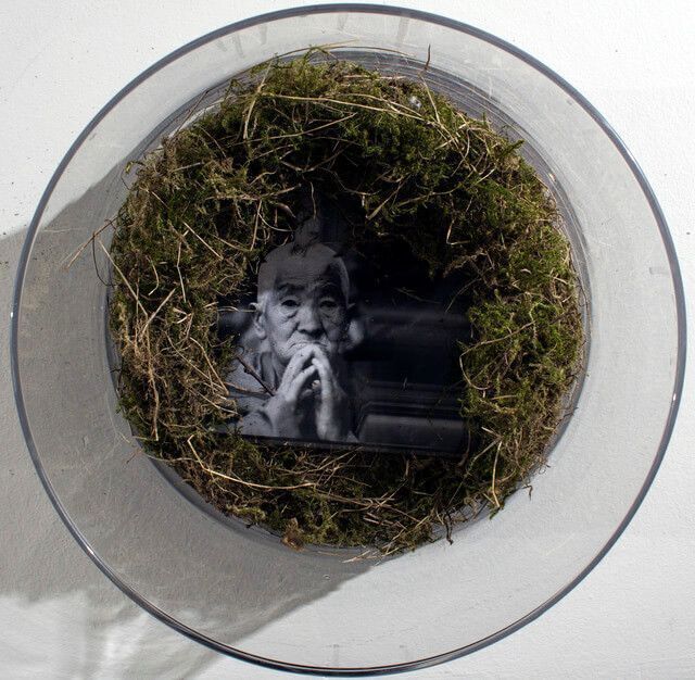 Лена Скрипкина. Семена Алая-виджняна. 2015. Серия фотографий. Предоставлено художником