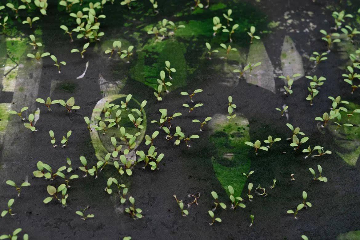 Василий Кононов-Гредин. Без названия. 2022. Субстрат, печать. Предоставлено художником