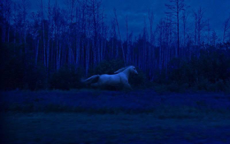 Василий Кононов-Гредин. Машина № 1. 2022. Видео. Предоставлено художником