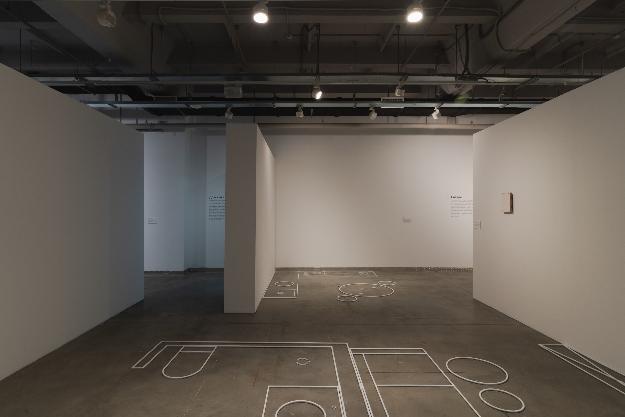 Ася Заславская. План. 2023. Инсталляция. Фото: Варвара Топленникова