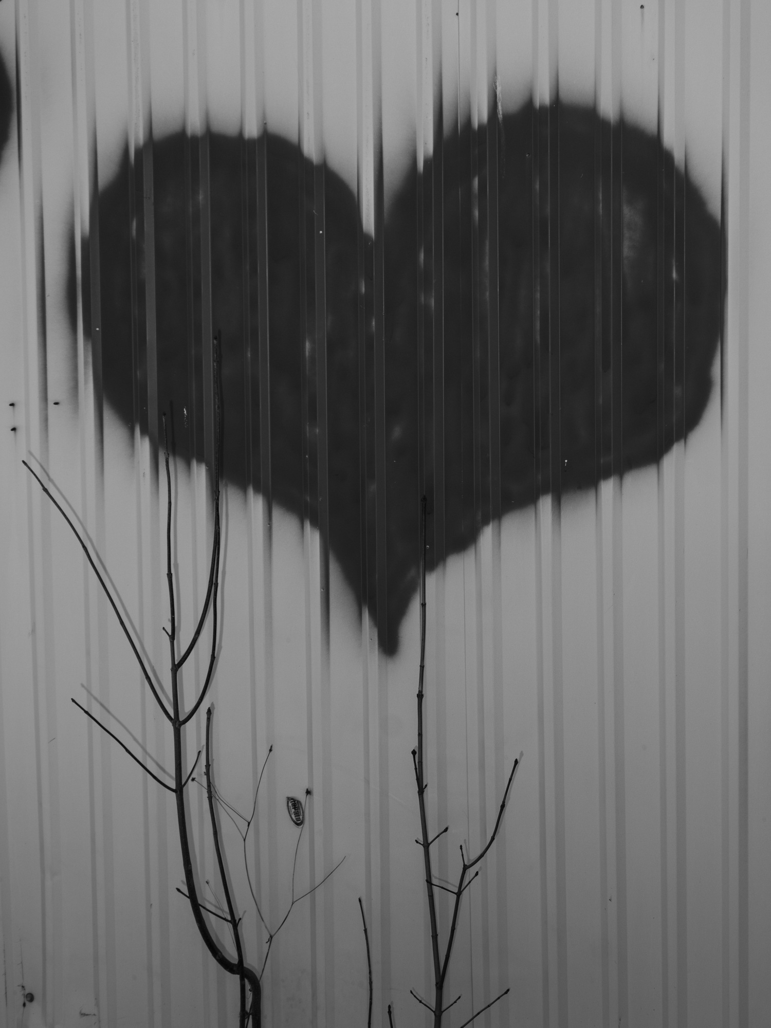 Полина Рукавичкина. Black Heart I. 2023. Пигментная печать. Предоставлено художницей&nbsp;