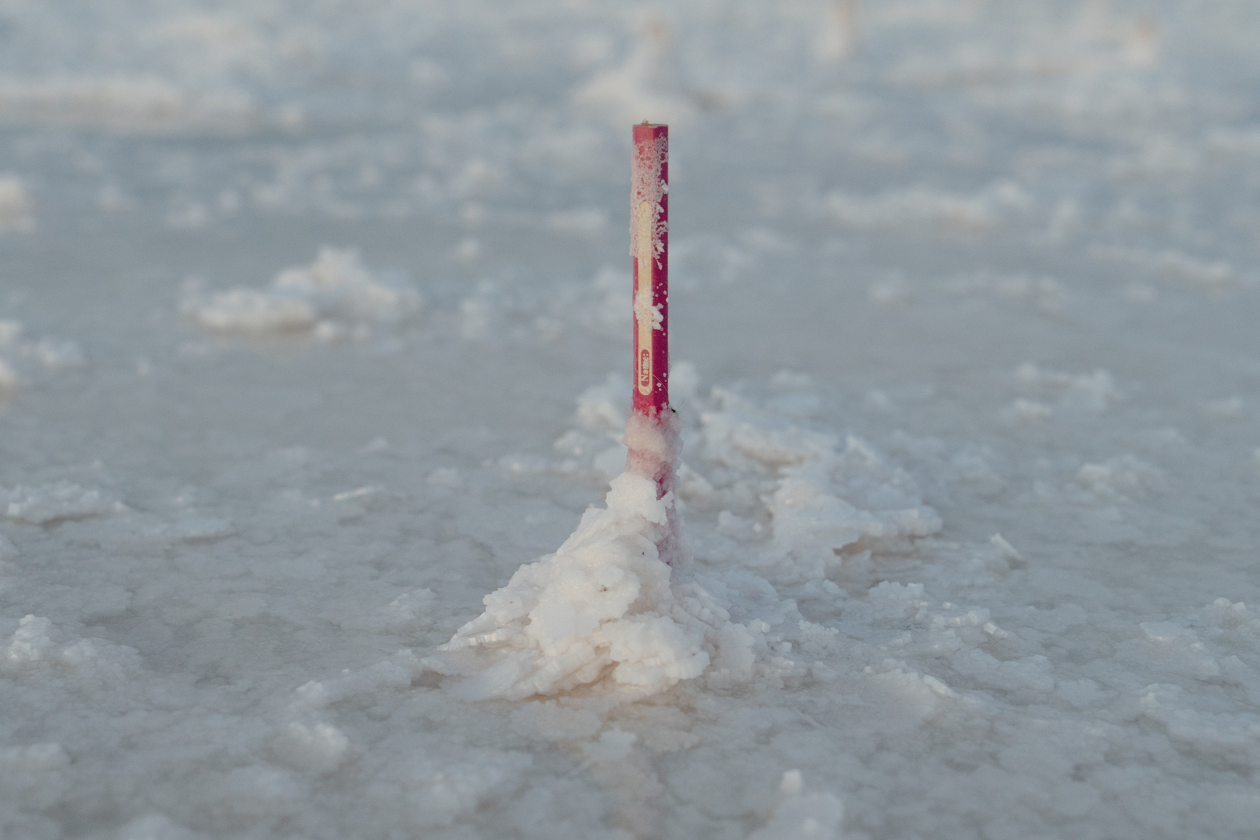 Дима Филиппов. Без названия. 2022. Предоставлено художником