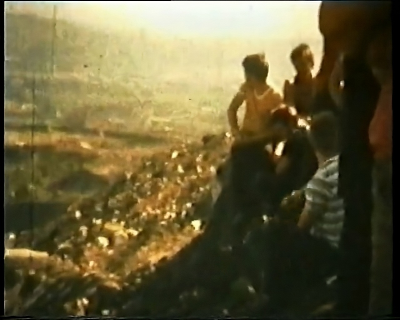 Дима Филиппов. Очерк об&nbsp;отце. 2009. Видео. Предоставлено художником