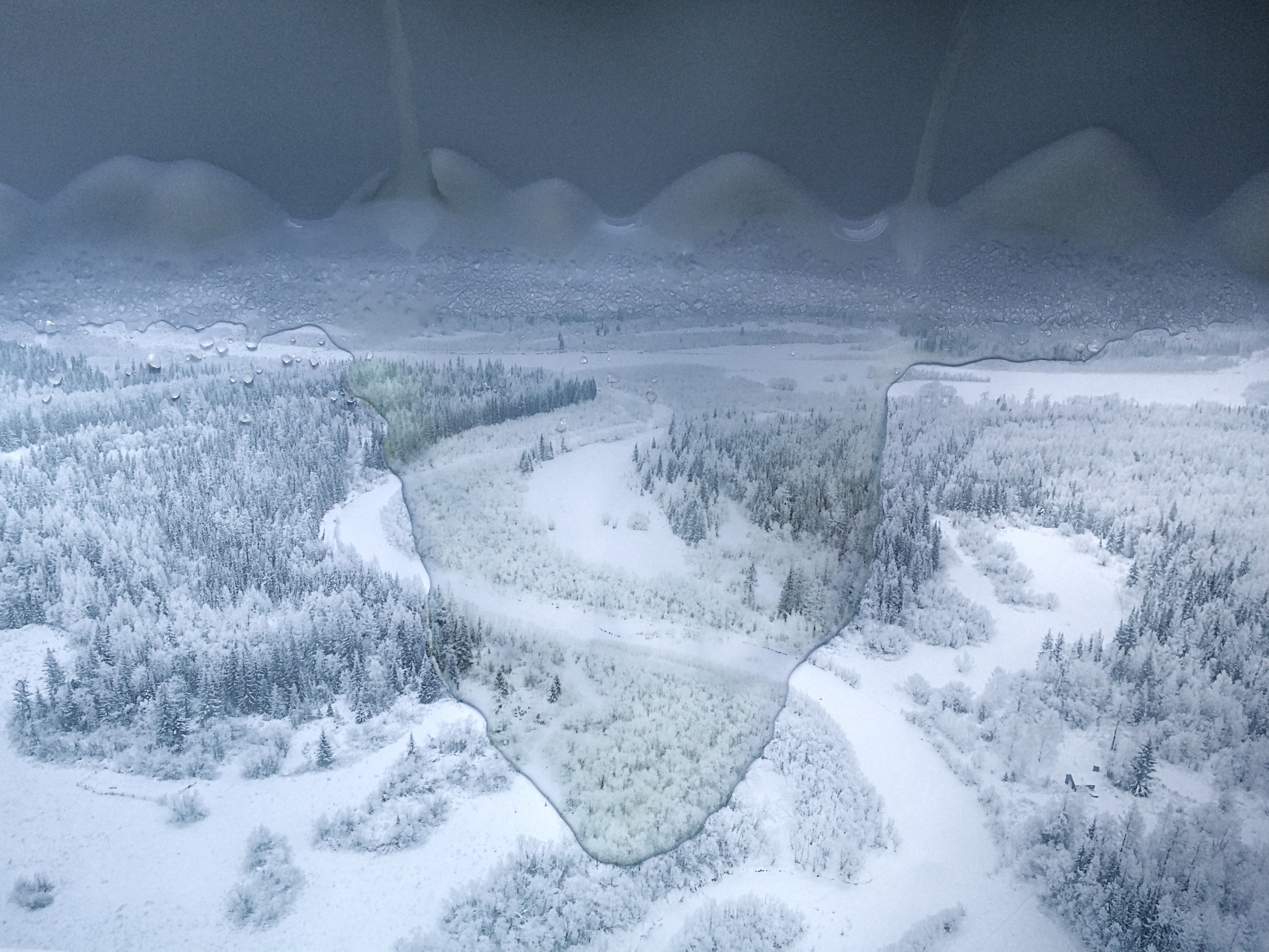 Atlas 05  Елена Аносова. Соленый&nbsp;чай. Атлас первого снега. 2016. Видео. Предоставлено художницей