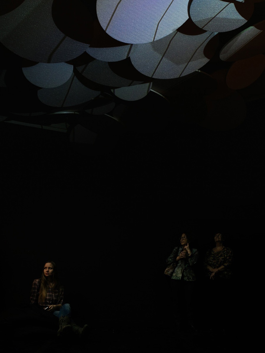 Beyond The Boundaries 04  Елена Аносова. Другие пределы. 2017. Вид инсталляции в&nbsp;музее &laquo;Дом Метенкова&raquo;, Екатеринбург. Предоставлено художницей