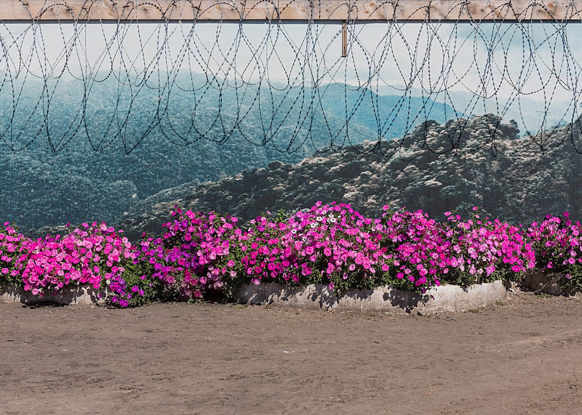 Section 02  Елена Аносова. Отделение. 2014. Архивная пигментная печать. Предоставлено художницей