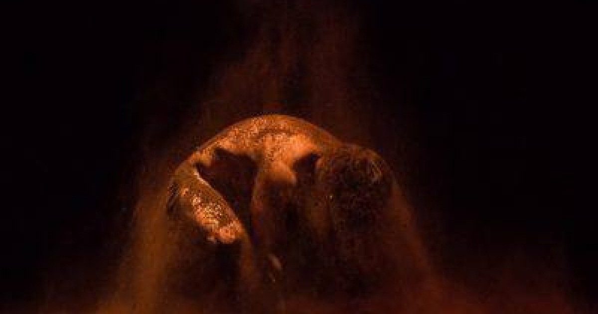 ИЗ ГЛУБИНЫ. Казанский государственный театр юного зрителя. 2016Хореография: Анна ГарафееваФото: Рамиз НазмиевПредоставлено художником