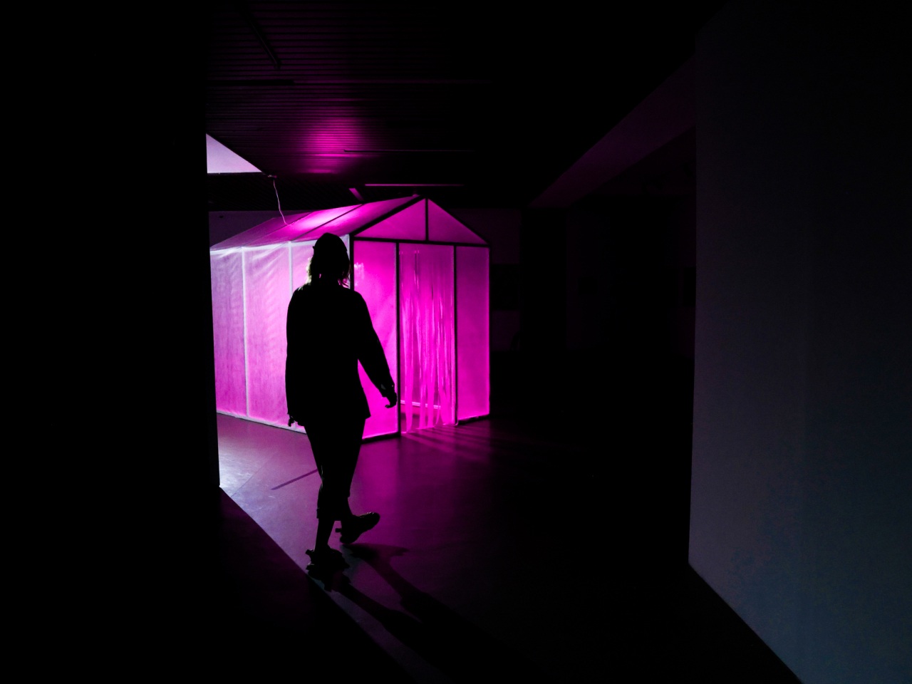 Вид экспозиции выставки Анастасии Рыбаковой «Урожай» в Музейном центре «Площадь Мира», Красноярск. 2023. Предоставлено художником