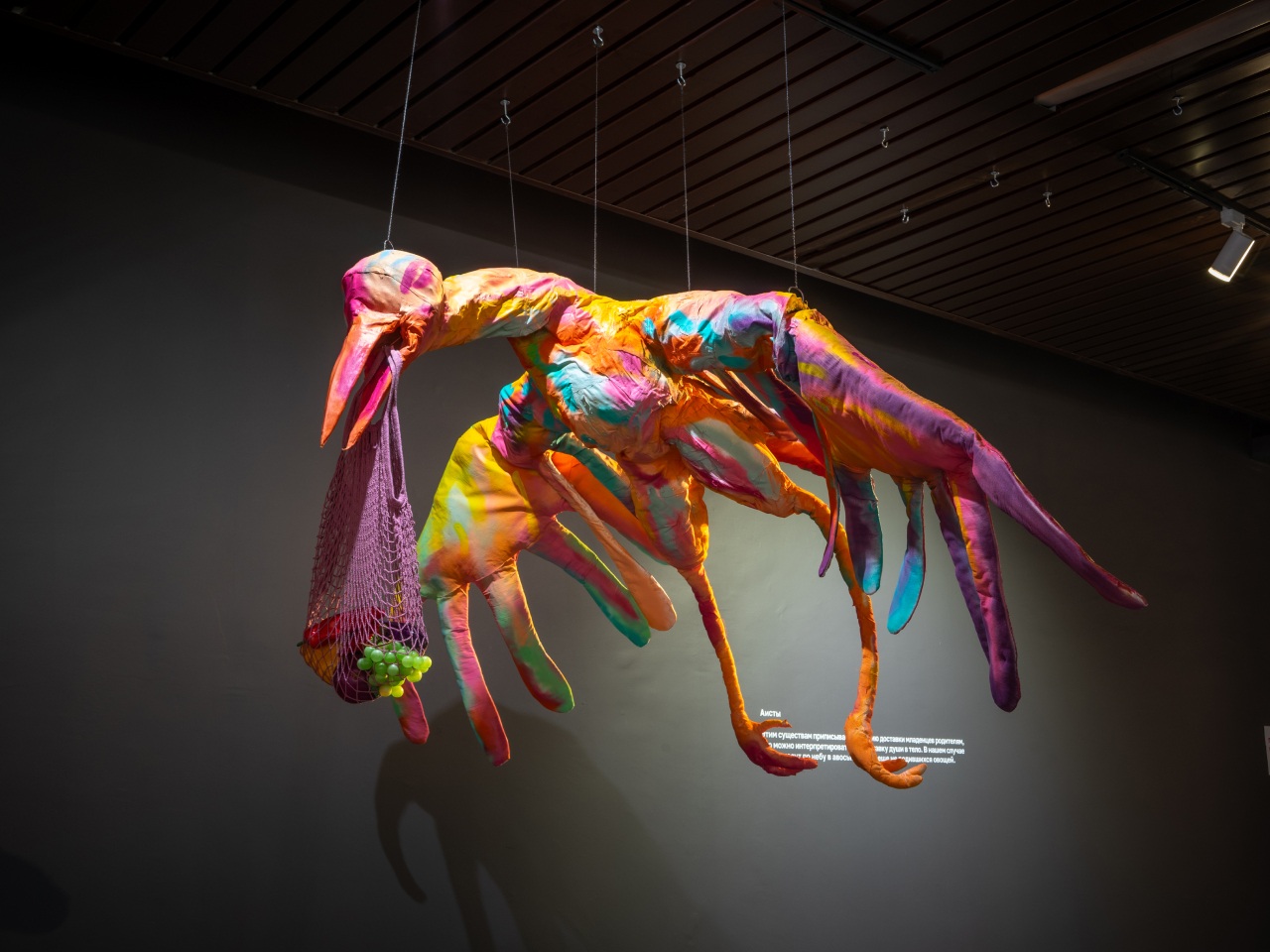 Вид экспозиции выставки Анастасии Рыбаковой «Урожай» в Музейном центре «Площадь Мира», Красноярск. 2023. Предоставлено художником