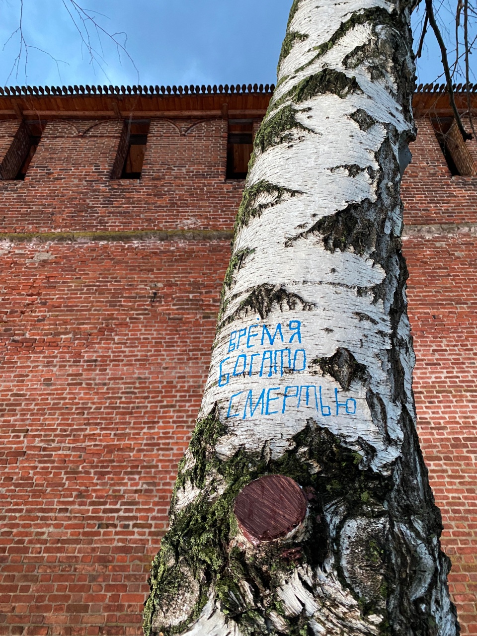 Синий Карандаш. Время богато смертью. 2023. Нижний Новгород.Предоставлено художником