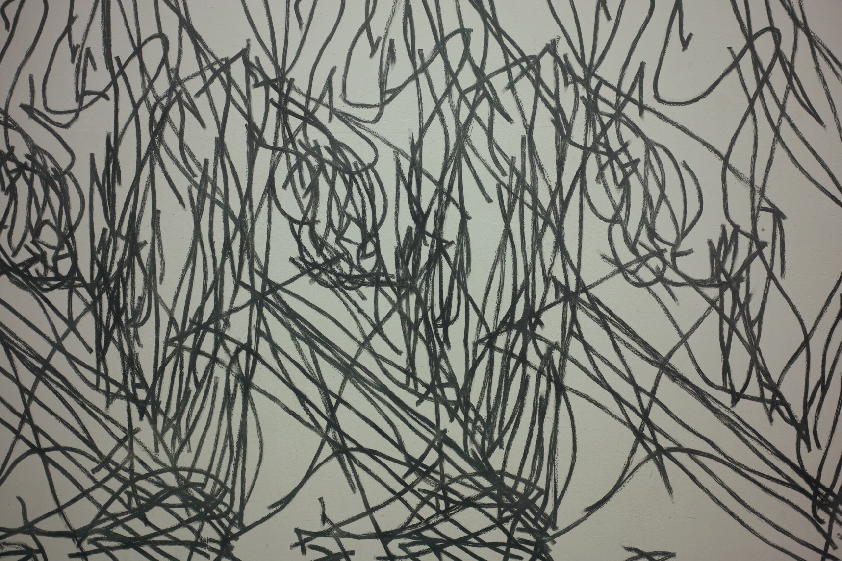 Илья Гришаев. Ее лозунг дальше. 2017. Уголь, аэрозольный лак. Предоставлено художником