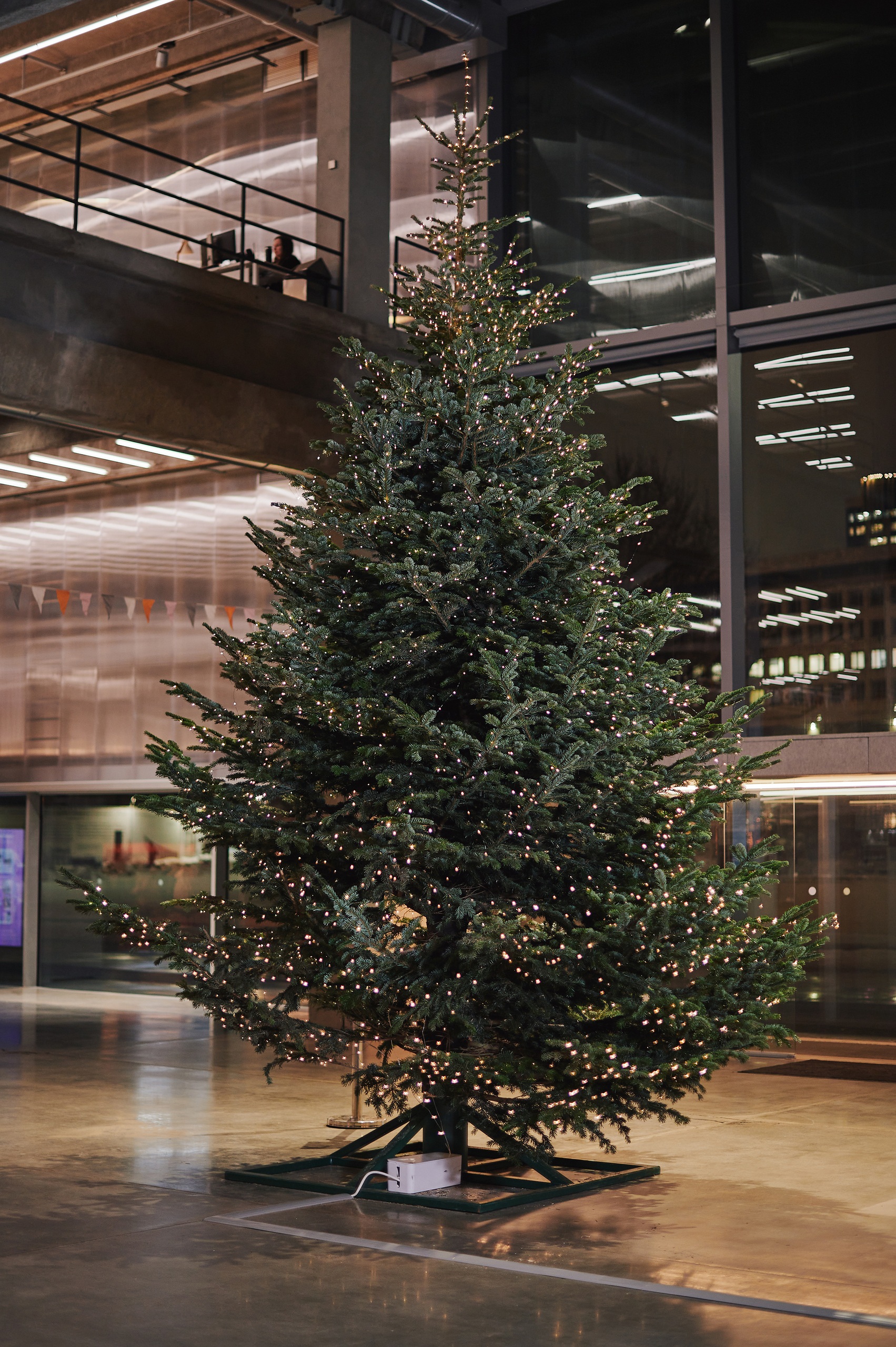 Фотограф: Анастасия Мезенова© Музей современного искусства «Гараж»