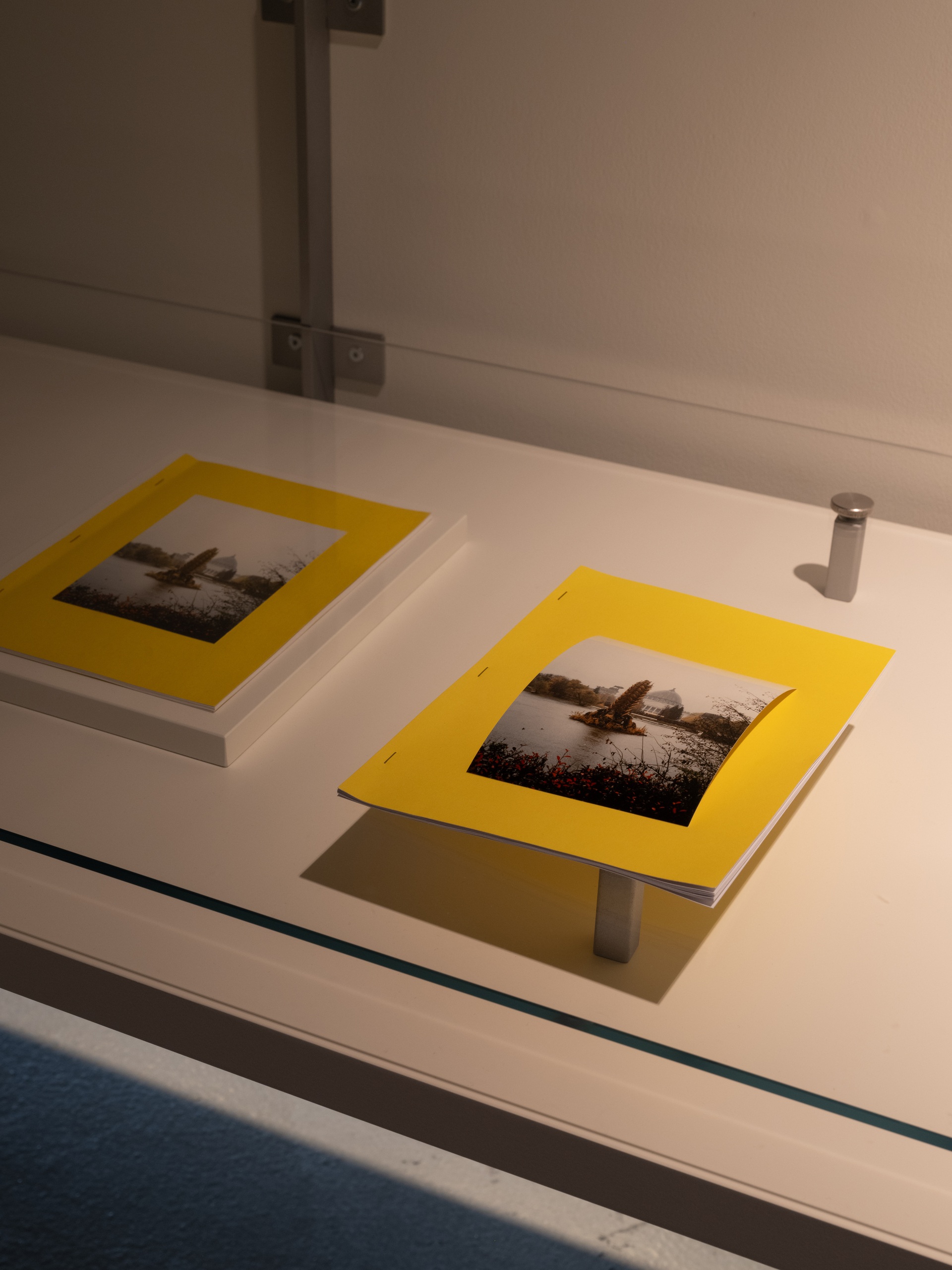 Фотограф: Варвара Топленникова© Музей современного искусства «Гараж»