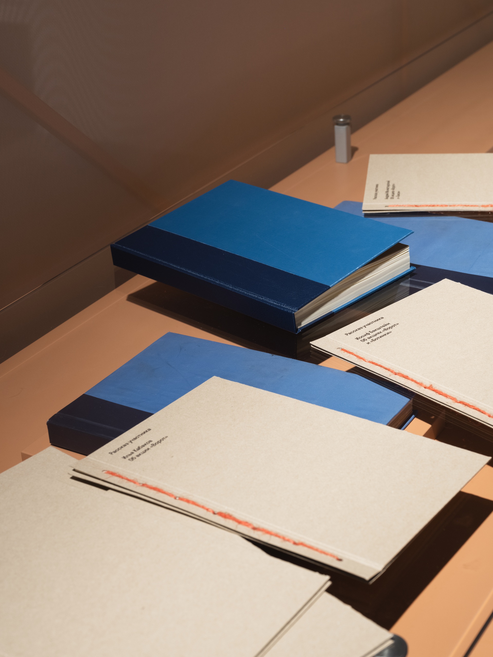 Фотограф: Варвара Топленникова© Музей современного искусства «Гараж»