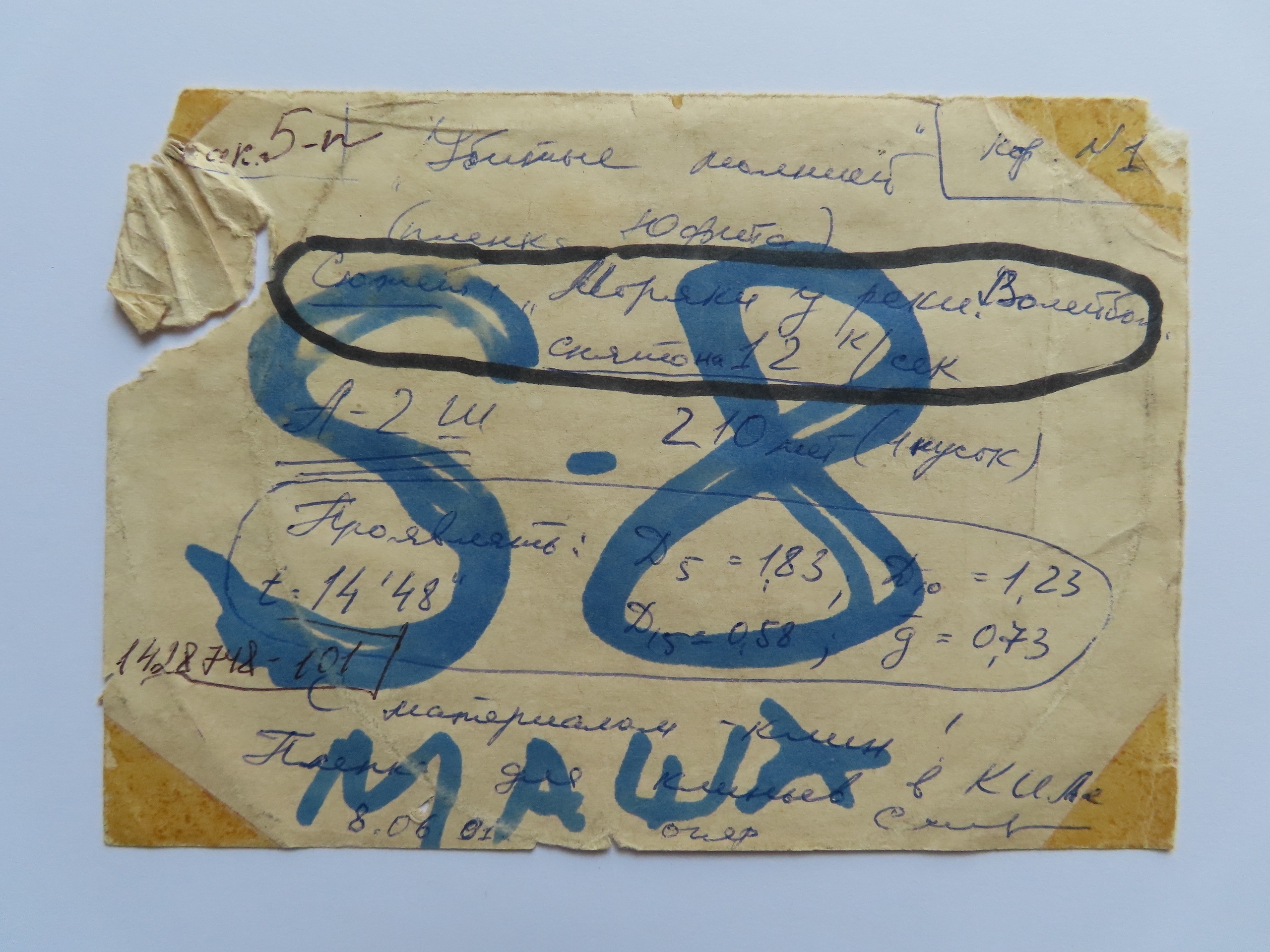 Masha Godovannaya, Unstuck Sticker, 2020. Courtesy of the artist