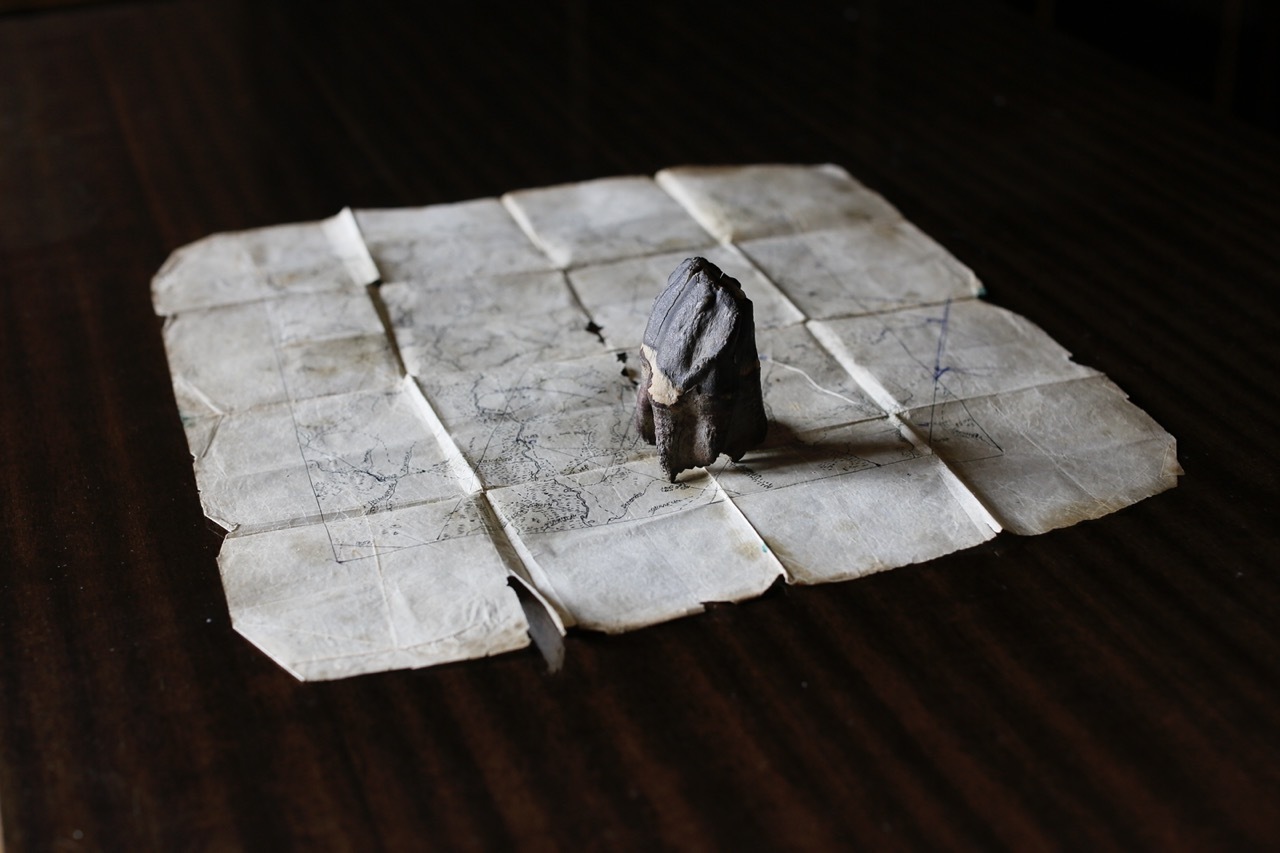 Карта семейных охотничьих угодий и зуб шерстистого носорогаАрхив Елены Аносовой