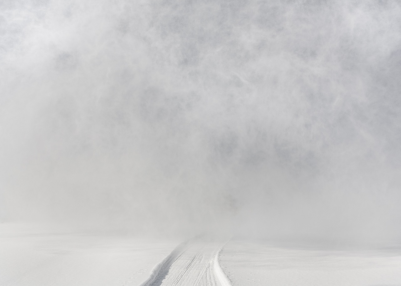 Елена АносоваБуран (Пурга). Атлас первого снега. 2016Предоставлено художницей