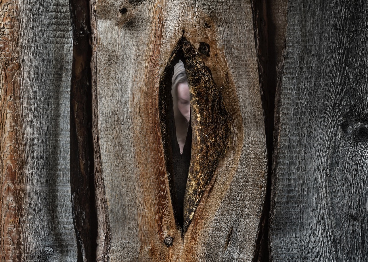 Елена АносоваЕлена. Атлас первого снега. 2017Предоставлено художницей