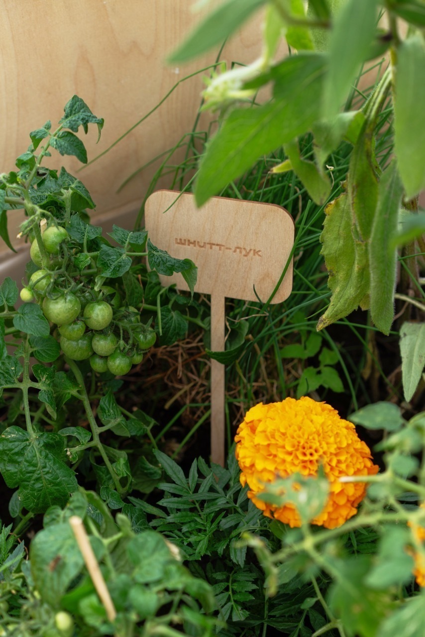 Фотограф: Варвара Топленникова&copy; Музей современного искусства &laquo;Гараж&raquo;