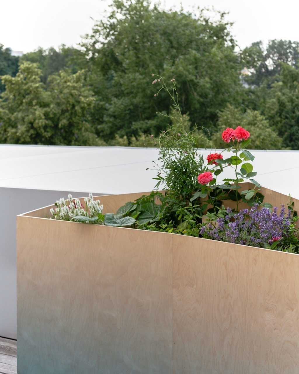 Фотограф: Варвара Топленникова&copy; Музей современного искусства &laquo;Гараж&raquo;