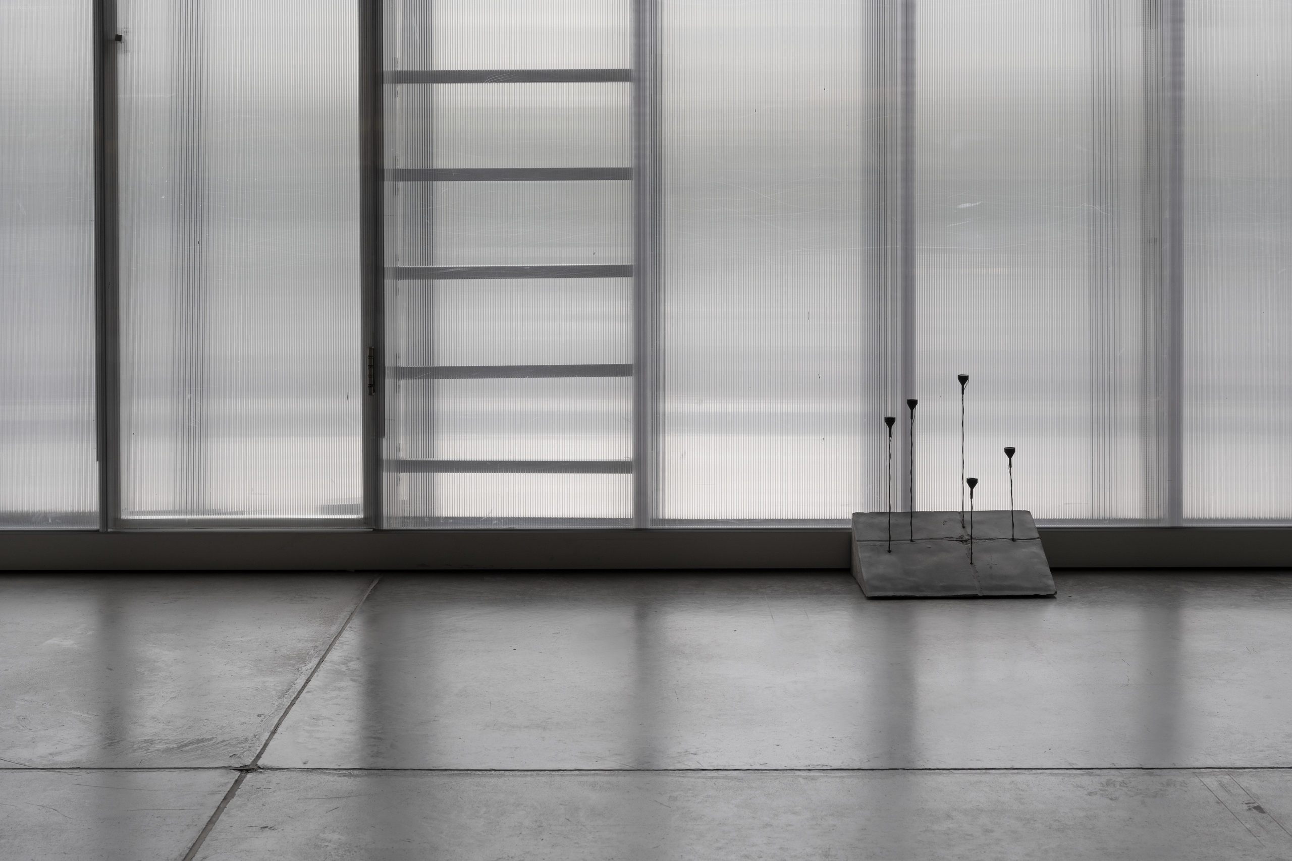 Вид инсталляции Анны Мартыненко «Споры шума» в Музее современного искусства «Гараж», Москва. 2025Фото: Даниил Анненков© Музей современного искусства «Гараж»