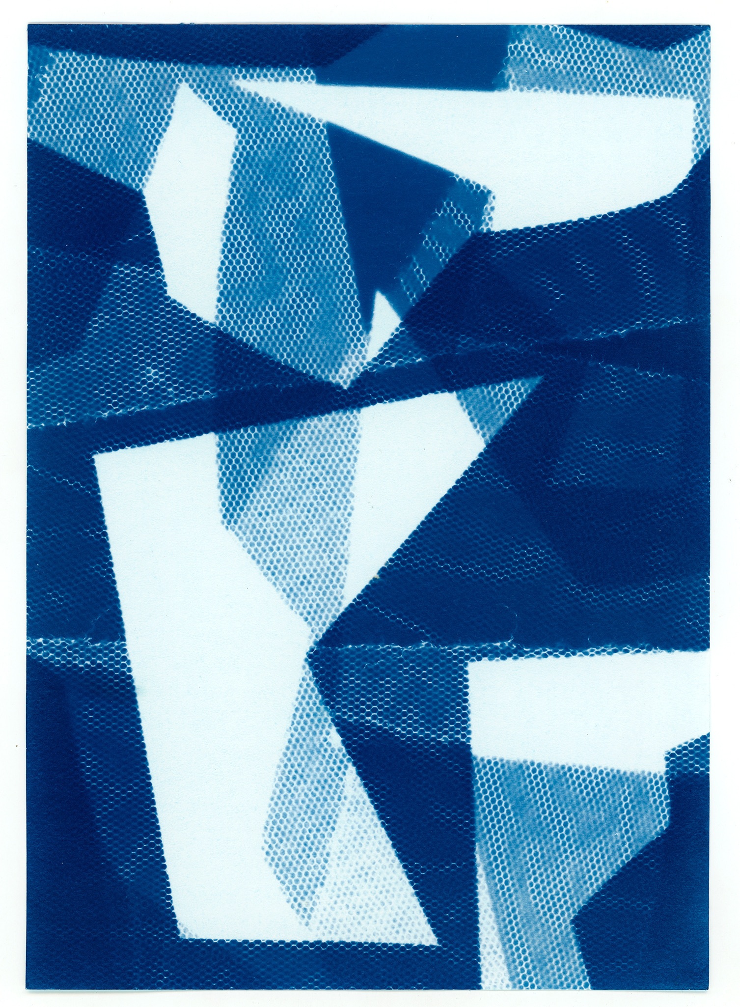 Даниил Толкалин. Цианотипия. 2025. Предоставлено автором