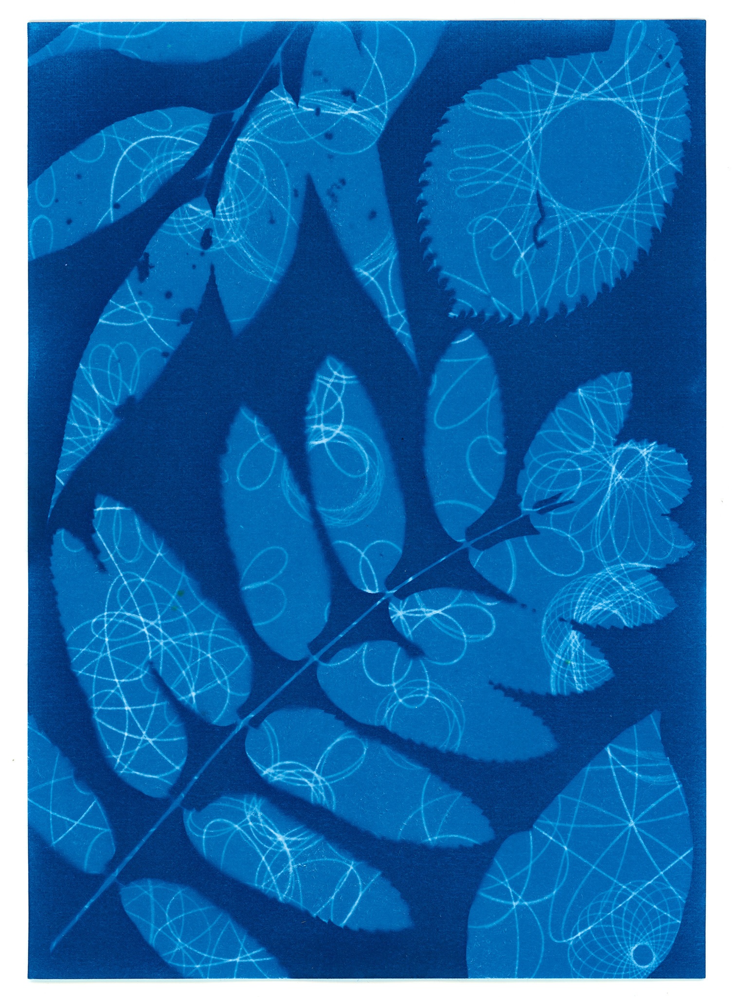 Даниил Толкалин. Цианотипия. 2025. Предоставлено автором