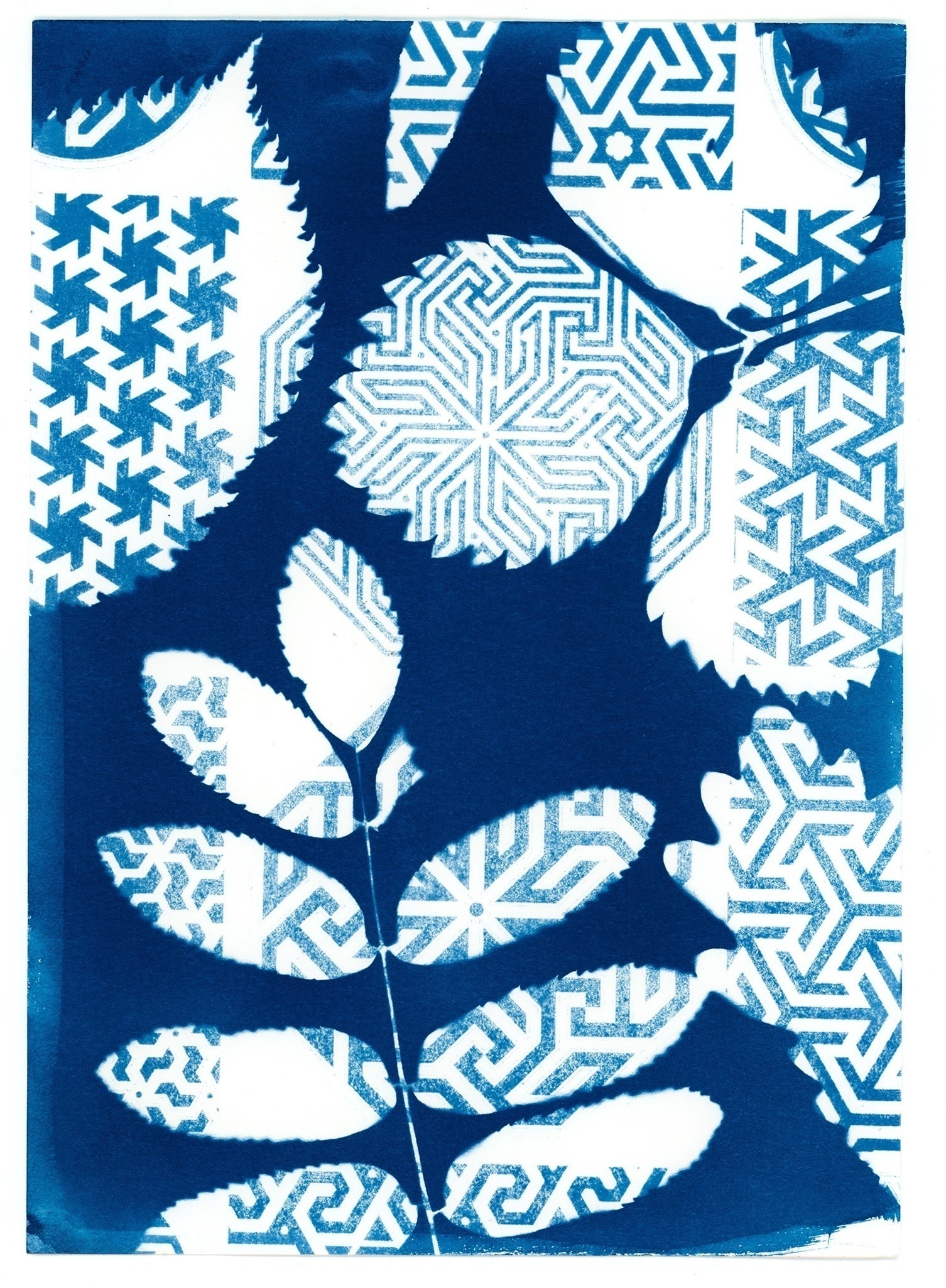 Даниил Толкалин. Цианотипия. 2025. Предоставлено автором