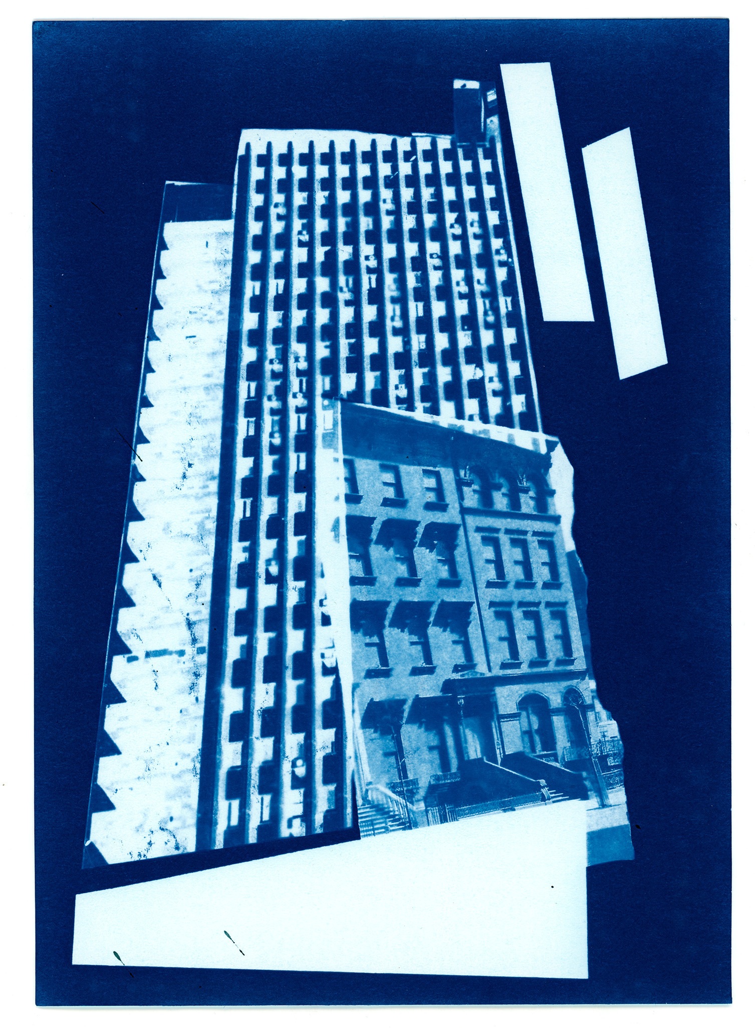 Даниил Толкалин. Цианотипия. 2025. Предоставлено автором